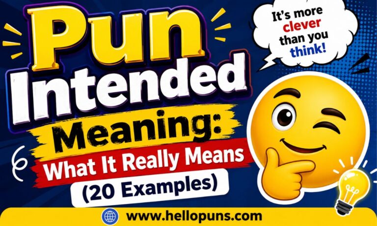 Pun Intended Meaning What It Really Means (20 Examples)